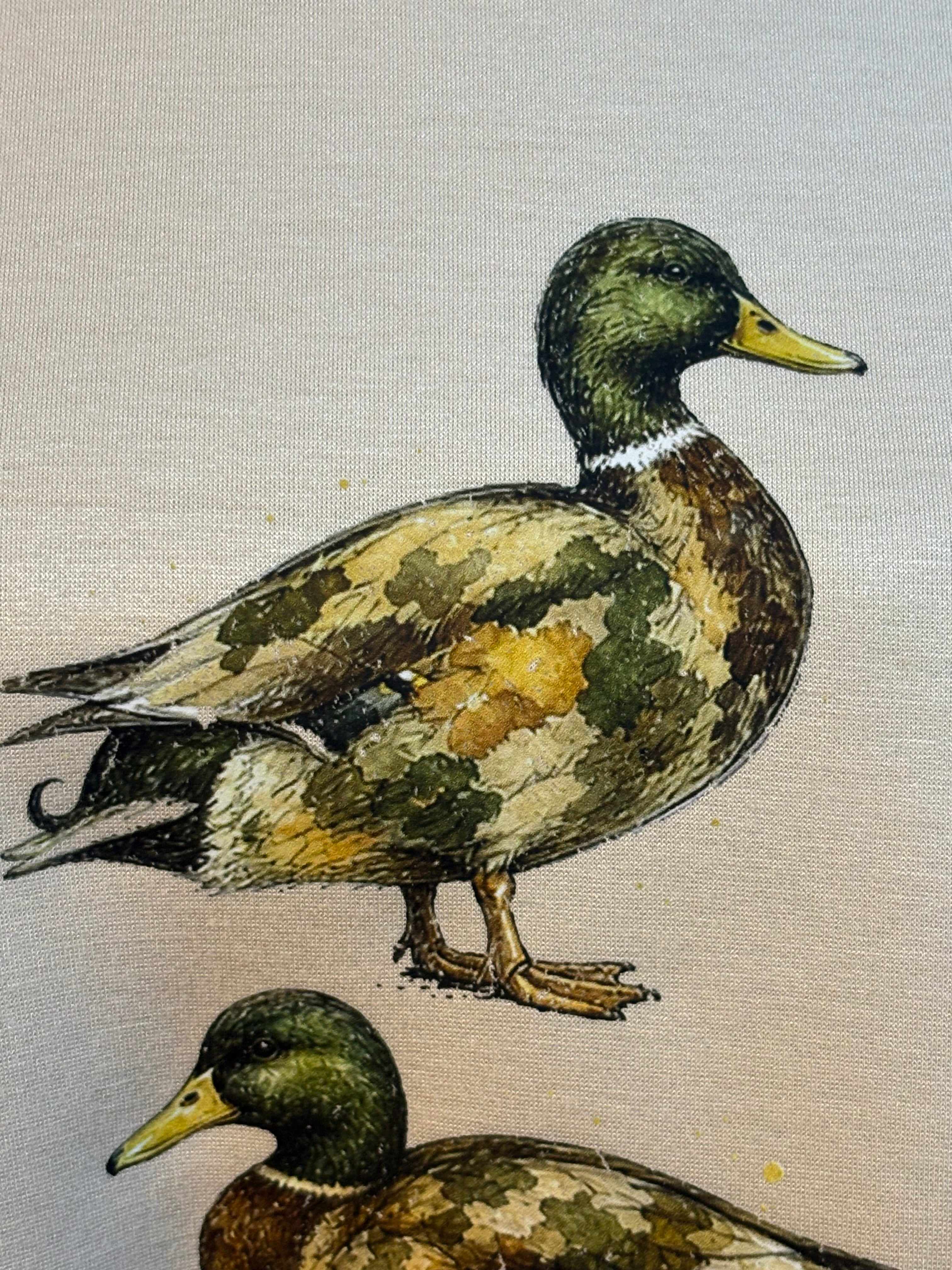 Camo Sleeve Duck Sweatshirt
